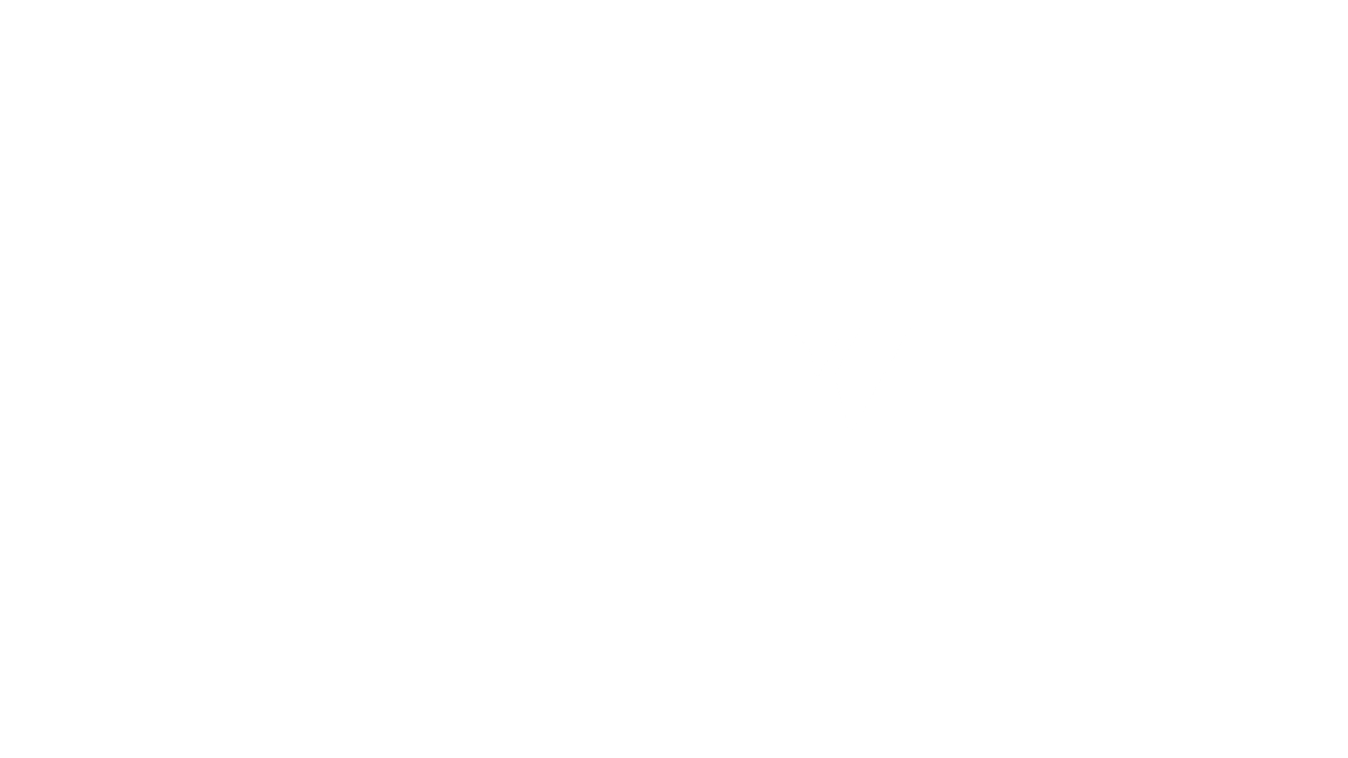 Z-GO